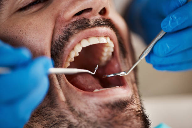 Best Mobile Emergency Dentist in Bradley Gardens, NJ